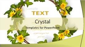  Presentation with pollen - PPT layouts featuring beautiful yellow flower crown isolated background and a blonde colored foreground