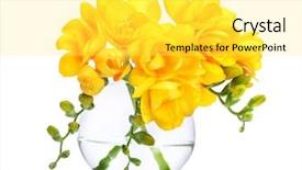  Presentation with yellow - Slides consisting of beautiful yellow freesias in vase background and a yellow colored foreground