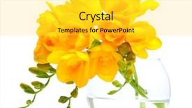  Presentation with white and yellow - Slide set consisting of beautiful yellow freesias in vase background and a  colored foreground