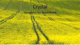  Presentation with green blur floral - Beautiful slide deck featuring beautiful yellow-green floral canola backdrop and a gold colored foreground