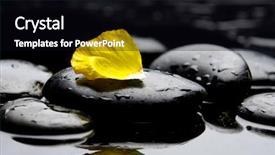  Presentation with poppy - Amazing presentation theme having beautiful yellow poppy and stones backdrop and a black colored foreground