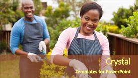  Presentation with home garden - Slide set with beautiful young black couple work background and a tawny brown colored foreground
