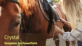  Presentation with horse - Presentation theme featuring beautiful young blonde woman petting a horse at the horse yard fixing saddle background and a tawny brown colored foreground