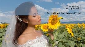  Presentation with sunflower - Beautiful presentation featuring bride posing in a sunflower backdrop and a light blue colored foreground
