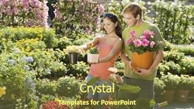  Presentation with botanical garden - Beautiful PPT layouts featuring beautiful young couple selecting plants at botanical garden backdrop and a tawny brown colored foreground