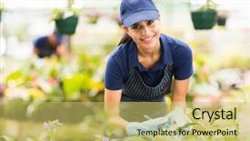  Presentation with nursery - Amazing presentation design having beautiful young nursery worker gardening in greenhouse backdrop and a yellow colored foreground