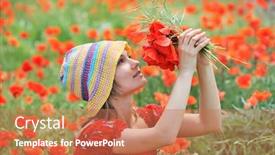  Presentation with poppies - Presentation theme enhanced with beautiful young woman on field with poppies background and a coral colored foreground