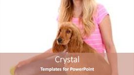  Presentation with beautiful young woman getting face - Audience pleasing PPT layouts consisting of beautiful-young-woman-with-cocker backdrop and a coral colored foreground