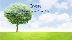  Presentation with solar tree evening landscape - Amazing PPT theme having beautifull the green tree landscape backdrop and a sky blue colored foreground