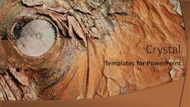  Presentation with tree - Amazing PPT theme having beautifully-detailed-tree-bark backdrop and a coral colored foreground