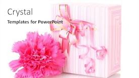  Presentation with peony flower - Amazing PPT theme having beautirul pink gift and peony flower isolated on white backdrop and a white colored foreground