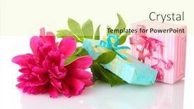 Presentation with peony flower - PPT theme having gifts and peony flower isolated background and a soft green colored foreground