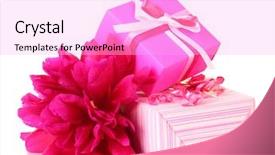  Presentation with peony flower - PPT theme with beautirul pink gifts and peony background and a  colored foreground