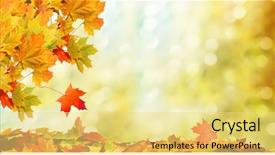  Presentation with autumn leaves falling - Audience pleasing PPT theme consisting of beauty - beautiful autumn landscape colorful foliage backdrop and a yellow colored foreground