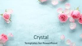  Presentation with spa - Theme featuring beauty - rose in water spa background background and a sky blue colored foreground