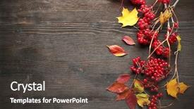  Presentation with autumn leaves - Amazing PPT layouts having beauty ashes - composition of guelder-rose and autumn backdrop and a  colored foreground
