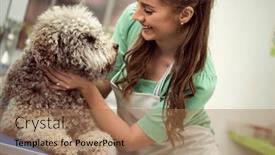  Presentation with grooming pet - Presentation consisting of beauty-barbe-dog-in-hair background and a coral colored foreground