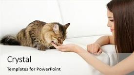  Presentation with cat - Theme featuring beauty beast - beautiful young woman with cat background and a sky blue colored foreground