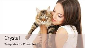  Presentation with young grey maine coon cat - PPT theme consisting of beauty beast - beautiful young woman with cat background and a soft green colored foreground