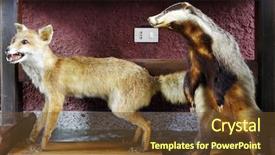  Presentation with decoration - Colorful PPT theme enhanced with beauty beast - decoration interior animal taxidermy backdrop and a tawny brown colored foreground