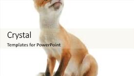  Presentation with sitting teddy bear isolated - PPT layouts featuring beauty beast - little fox cub sitting isolated background and a lemonade colored foreground