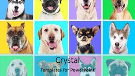  Presentation with dog baby cute child - PPT theme enhanced with beauty beast - portraits of cute dogs background and a cyan colored foreground