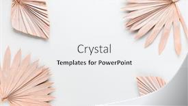  Presentation with palm leaves - Theme enhanced with beauty-dried-palm-leaves background and a white colored foreground