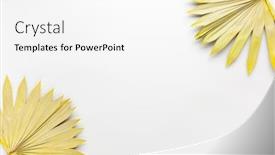  Presentation with leaves flat lay - PPT theme consisting of beauty-dried-palm-leaves background and a white colored foreground