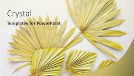  Presentation with palm leaves - Amazing PPT theme having beauty-dried-palm-leaves backdrop and a soft green colored foreground