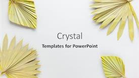  Presentation with leaves flat lay - Theme with beauty-dried-palm-leaves background and a white colored foreground