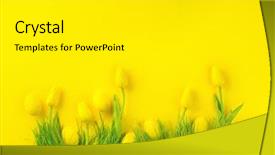  Presentation with easter bunny yellow spring flower - Audience pleasing PPT layouts consisting of beauty easter backdrop with paint backdrop and a white colored foreground