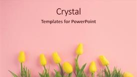  Presentation with easter bunny yellow spring flower - Colorful PPT layouts enhanced with beauty easter backdrop with paint backdrop and a lemonade colored foreground