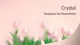  Presentation with beautiful spring flowers - Cool new theme with beauty easter backdrop with paint backdrop and a lemonade colored foreground