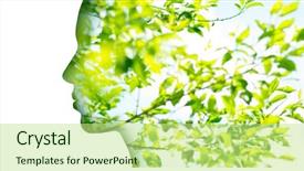  Presentation with green foliage - Beautiful slide deck featuring beauty nature and ecology concept backdrop and a mint green colored foreground