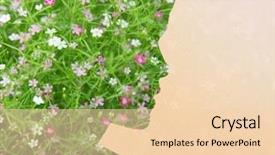  Presentation with green beauty - Audience pleasing PPT theme consisting of beauty people spring summer seson and health concept - woman silhouette with green floral pattern backdrop and a lemonade colored foreground