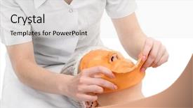  Presentation with beauty salon - PPT theme having beauty salon removing of alginate background and a lemonade colored foreground