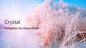  Presentation with winter wonderland - Slides consisting of beauty sunny winter backdrop wonderland background and a lemonade colored foreground