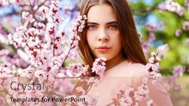  Presentation with pink beauty - Audience pleasing presentation theme consisting of beauty-teen-girl-posing-near backdrop and a coral colored foreground