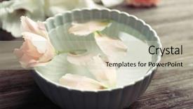  Presentation with pink rose petals - Amazing presentation theme having beauty therapy - tender pink rose and petals backdrop and a  colored foreground