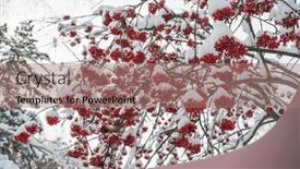  Presentation with fair - 