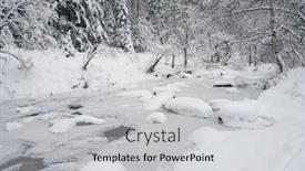  Presentation with fair - 