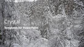  Presentation with fair - 