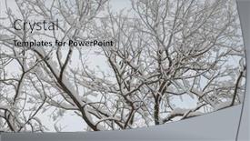  Presentation with fair - 