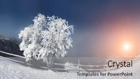  Presentation with happy new year - PPT theme with beauty world happy new year background and a light gray colored foreground