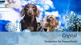  Presentation with new year - Cool new presentation design with beaver - puppy dachshund new year's puppy backdrop and a light blue colored foreground