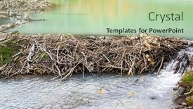  Presentation with dam - Amazing PPT layouts having beaver-dam-on-a-turquoise backdrop and a mint green colored foreground
