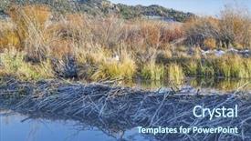  Presentation with fall scenes - Beautiful presentation design featuring beaver dam on north platte backdrop and a ocean colored foreground