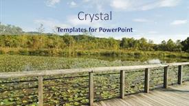  Presentation with marsh - Presentation theme having beaver marsh and moss bog background and a sky blue colored foreground