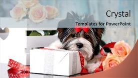  Presentation with flowers - PPT layouts consisting of beaver of a yorkshire terrier background and a light blue colored foreground