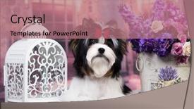  Presentation with yorkshire moor - Colorful slide set enhanced with beaver of a yorkshire terrier backdrop and a coral colored foreground